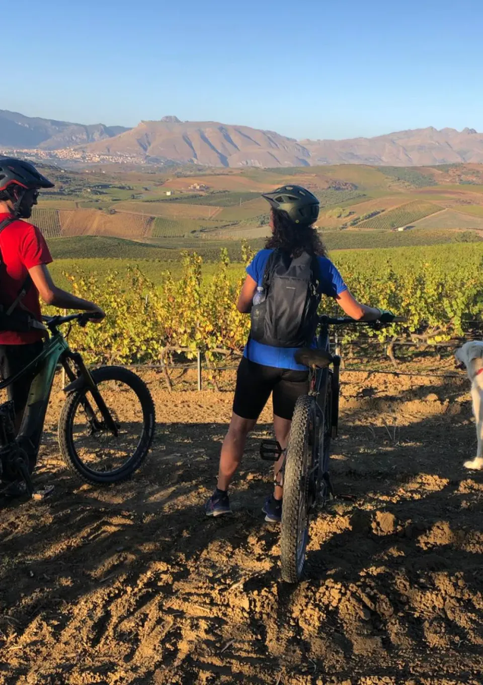 Tasca Sallier E-Bike Tour Weinverkostung Picknick