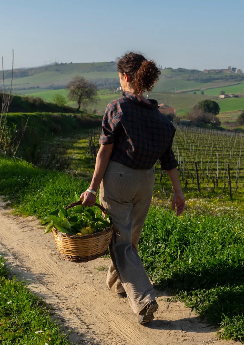 Tasca d'Almerita Sallier de La Tour Verkostung 5 Weine trocken
