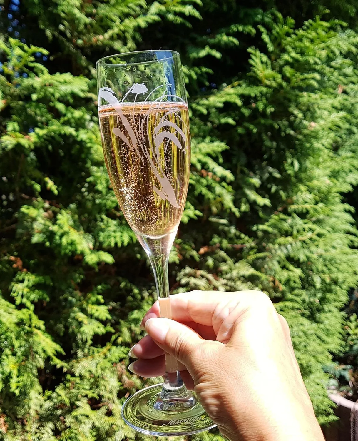 Henkell Rosé Trocken Sekt 6x0,75L beerig