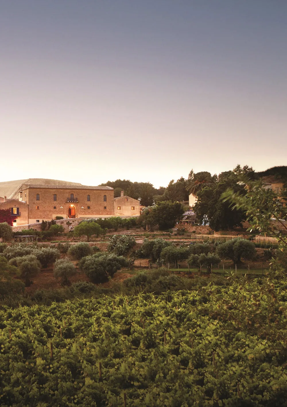 Tasca d'Almerita Regaleali Le Grandi Vigne Weinprobe Erwachsene 4 Weine