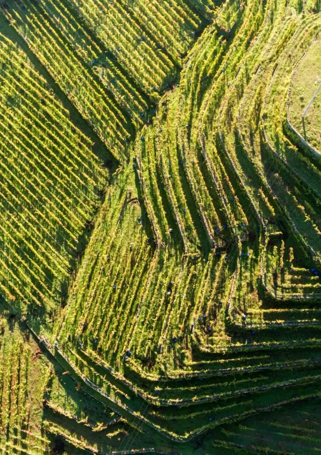Tasca Tascante Etna Weinverkostung 5 Weine