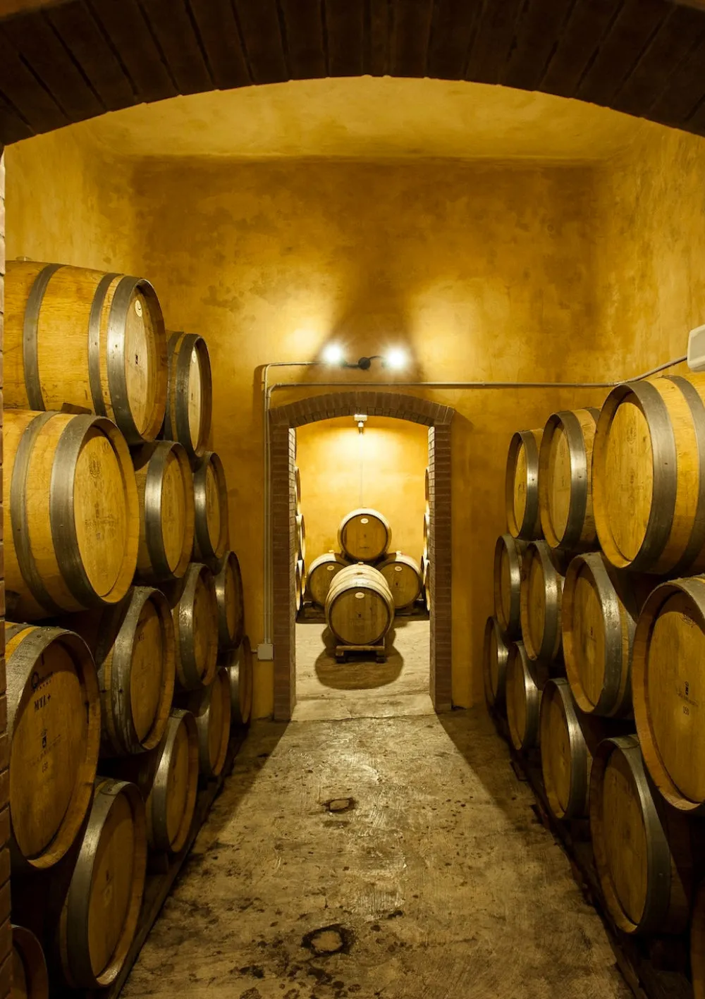 Tasca d'Almerita Sallier de La Tour Verkostung 5 Weine trocken