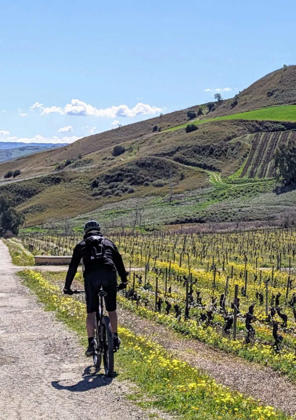 Tasca d'Almerita Regaleali E-Bike Tour Weinverkostung