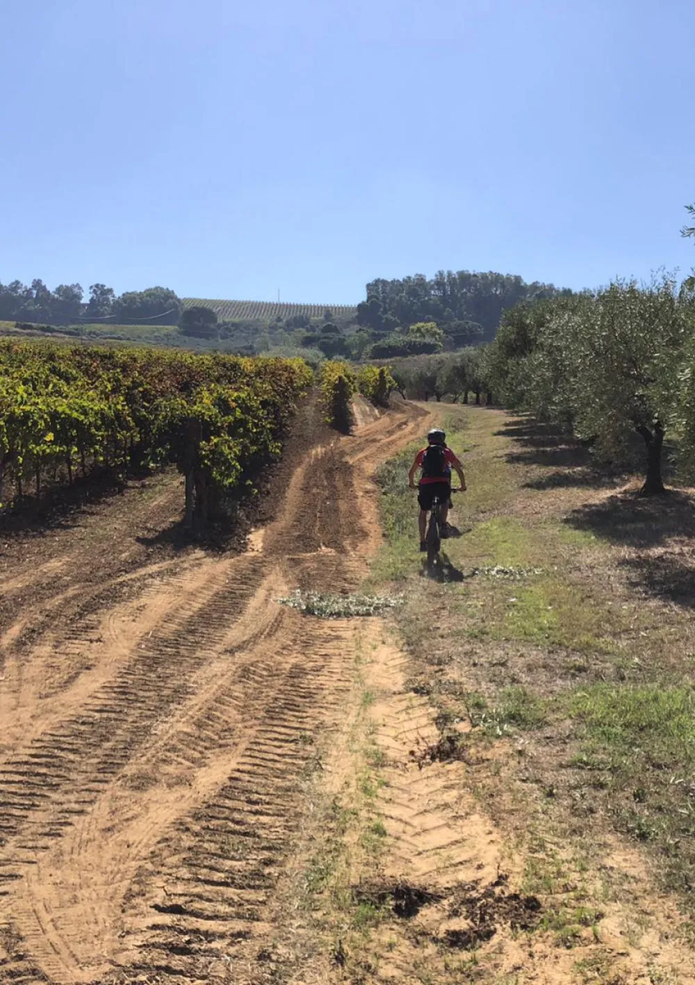Tasca Sallier E-Bike Tour Weinverkostung Picknick