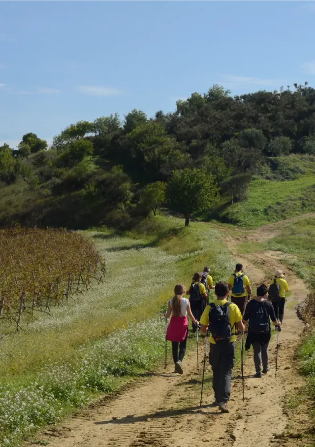 Tasca Regaleali Weinerlebnis Wanderung+Tasting 4 Weine