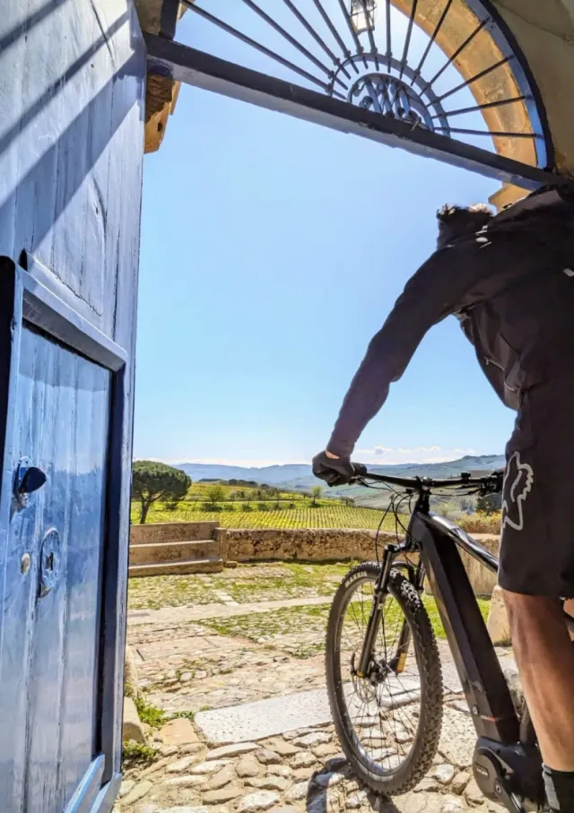 Tasca d'Almerita E-Bike Tour & Tasting at Regaleali Erlebnis