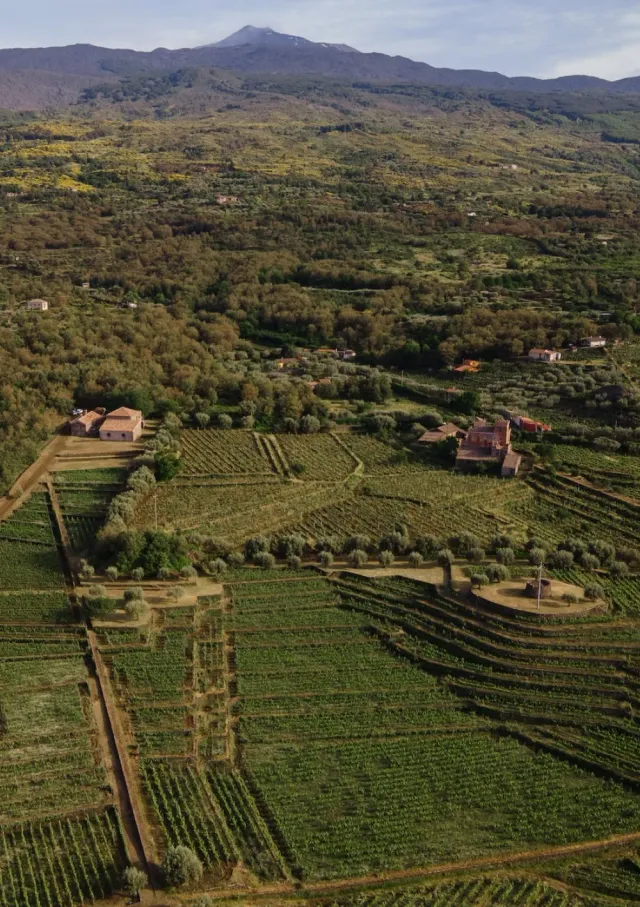 Tasca Tascante Discovering Etna Weinverkostung 4 Weine Öl