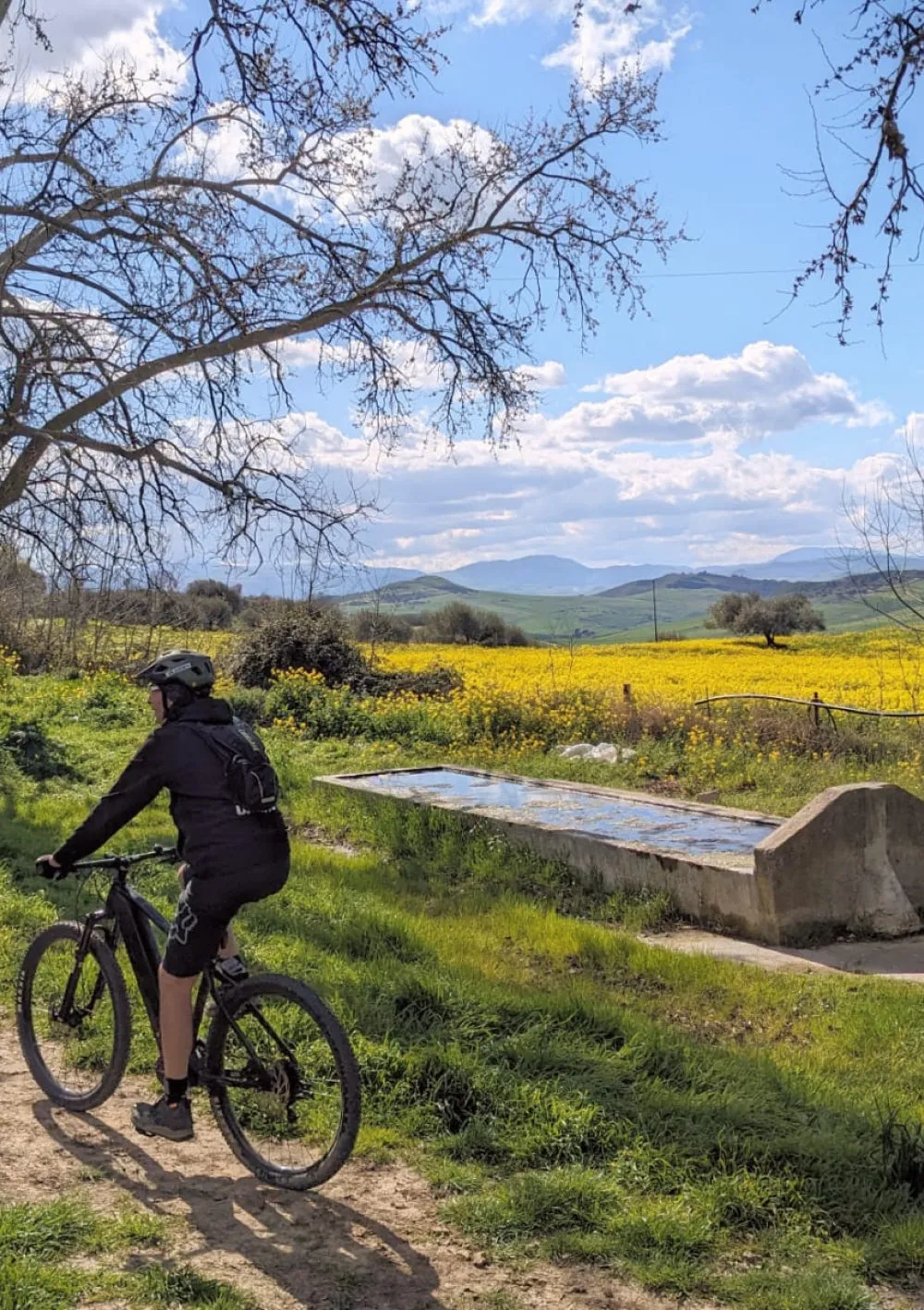 Tasca d'Almerita Regaleali E-Bike Tour Weinverkostung
