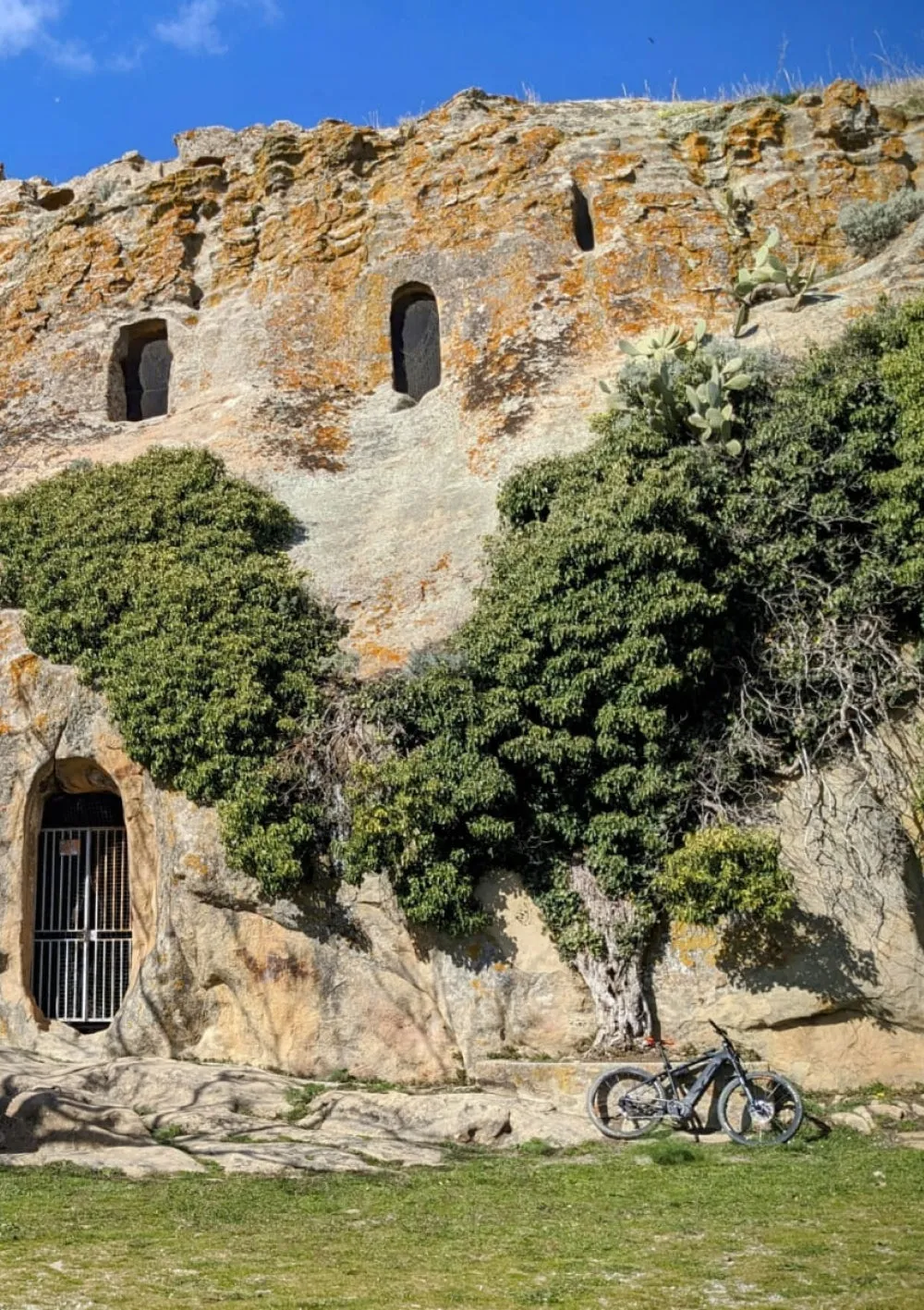 Tasca d'Almerita Regaleali E-Bike Tour Weinverkostung