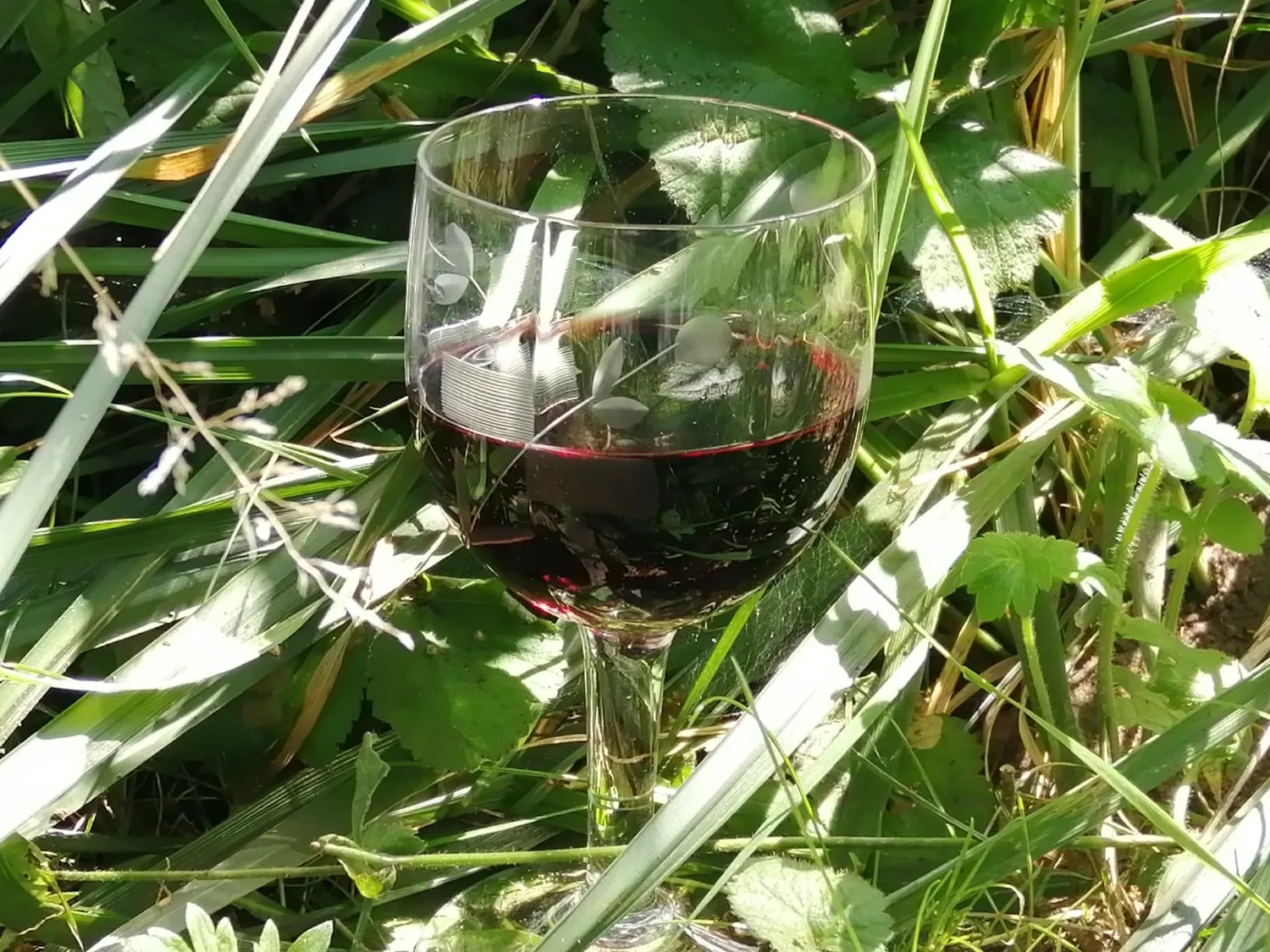 J.P. Chenet Delicious Rotwein 6x0,75 L halbsüß