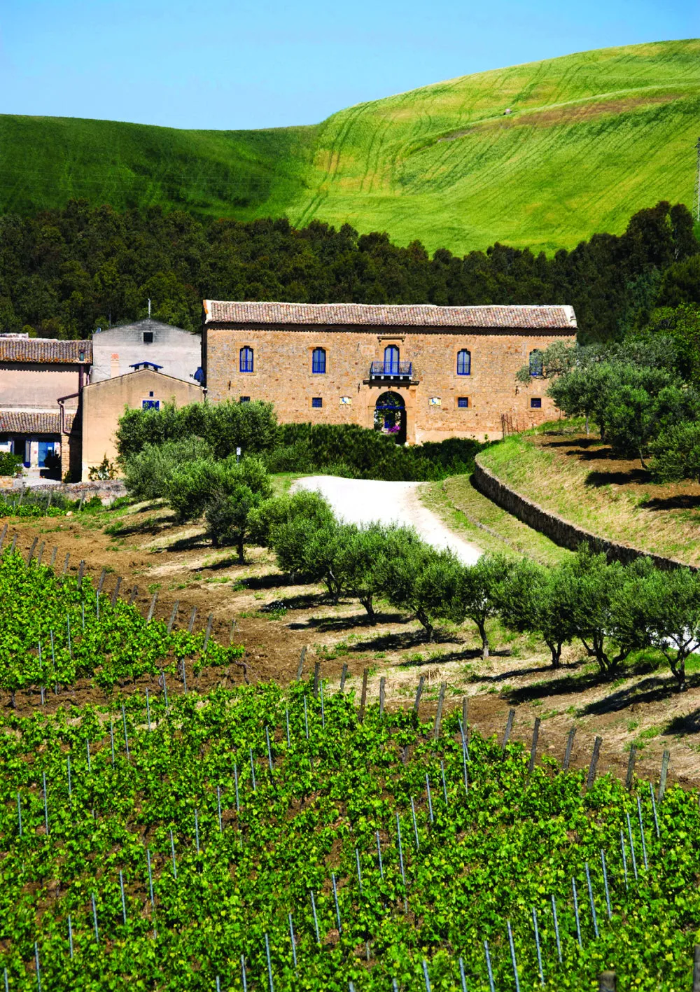 Tasca Grandi Vigne Weinprobe Regaleali 4 Weine