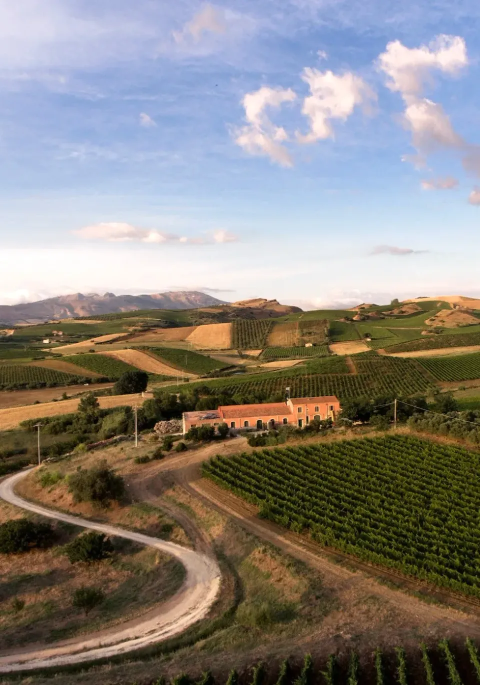 Tasca Sallier de La Tour Discovering Verkostung 6 Weine
